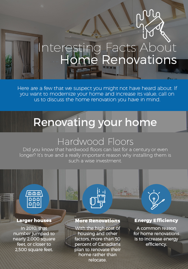 Interesting Facts About Home Renovations [infographic]